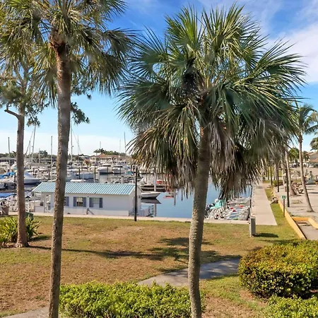 Marina Paradise